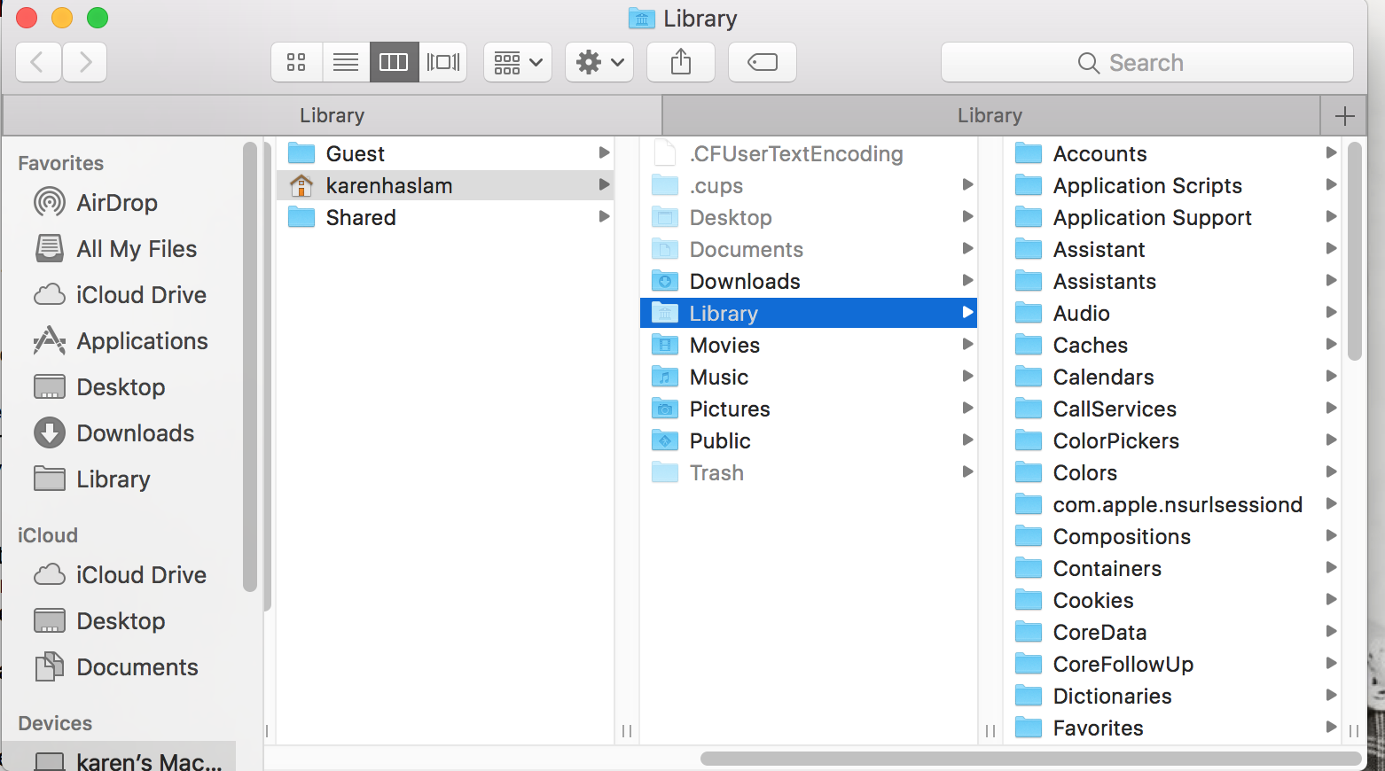 Mac widgets enable